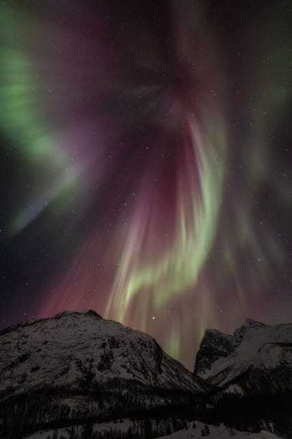 Tromsø: Fjords & Beaches Tour with campfire and Arctic food - Guides who shape the day