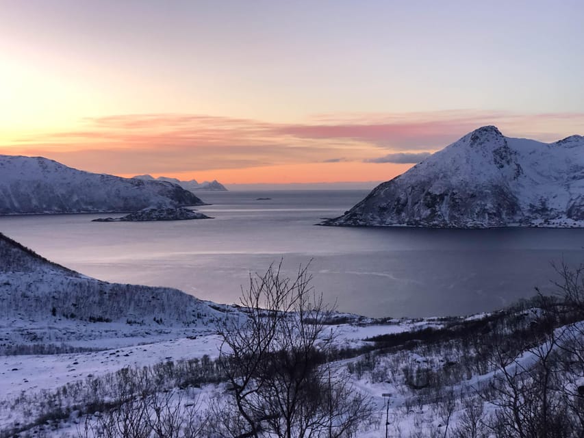 Tromsø: Fjords & Beaches Tour with campfire and Arctic food - Winter gear and what you need to bring