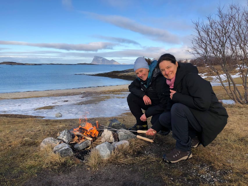 Tromsø: Fjords & Beaches Tour with campfire and Arctic food - How much value do you get for $310.85?
