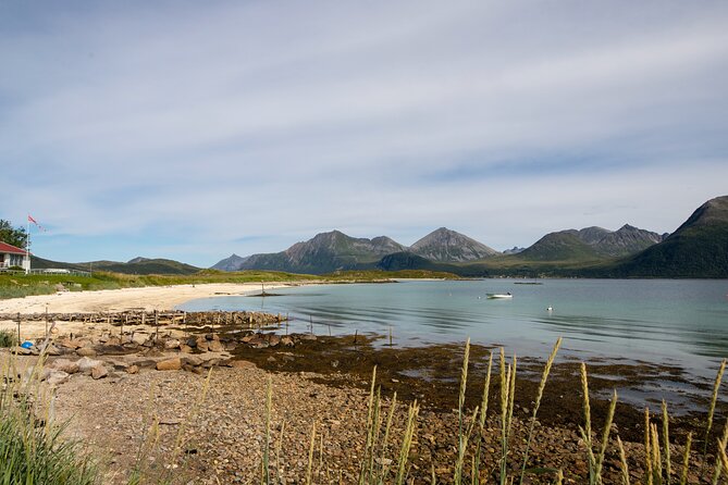 Tromso fjords road trip with fire in grill cabin by the beach. - Group size, timing, and comfort