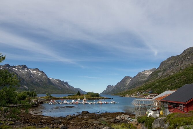 Tromso fjords road trip with fire in grill cabin by the beach. - The guide can shape the whole day