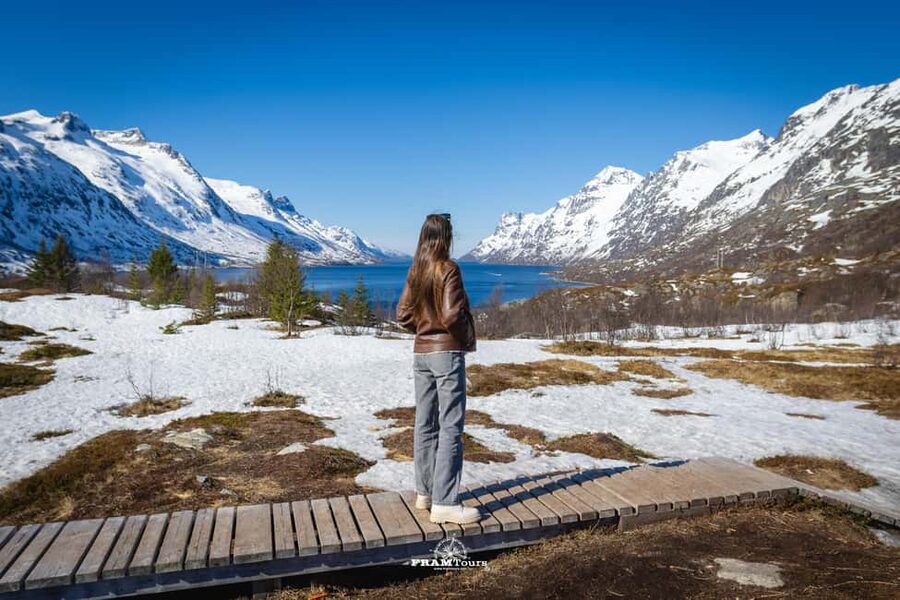 Tromso: Guided Fjord Expedition in Kvaløya with Light Lunch - Wildlife watching without false promises