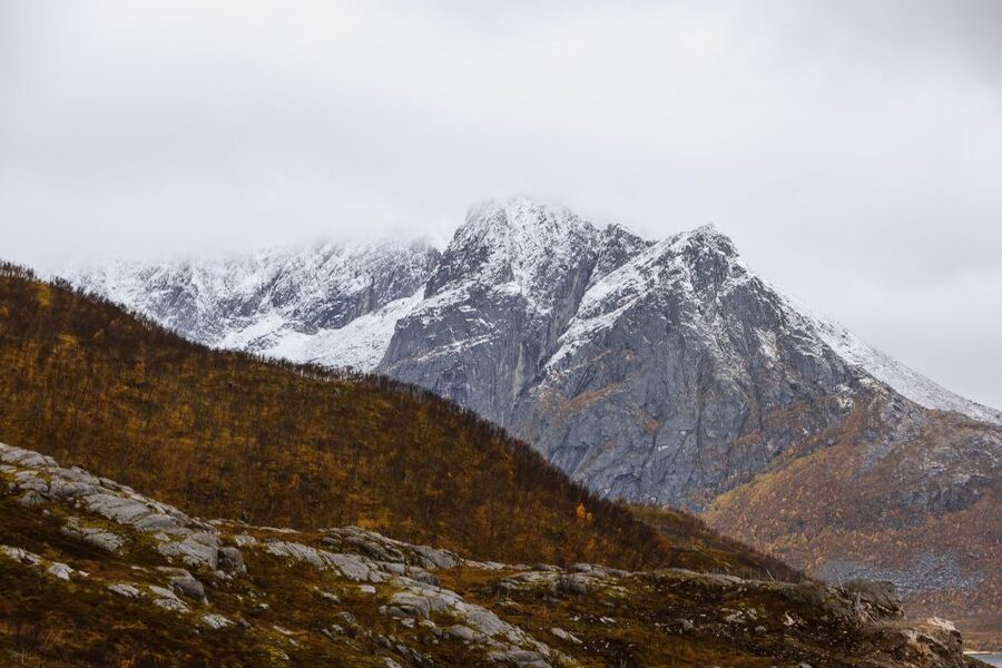 Tromso: Guided Fjord Expedition in Kvaløya with Light Lunch - What the $146 price buys you