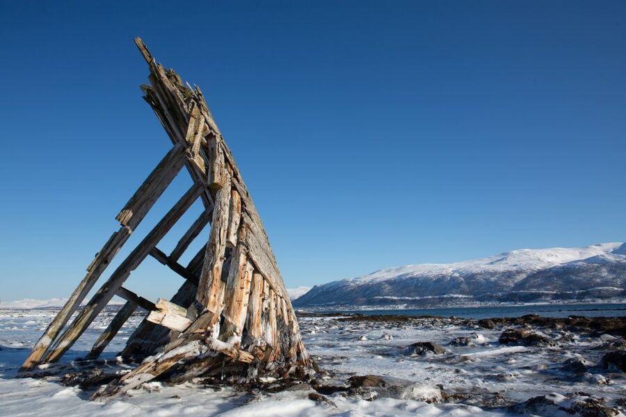 Tromso: Guided Fjord Expedition in Kvaløya with Light Lunch - Who should book this Arctic outing?