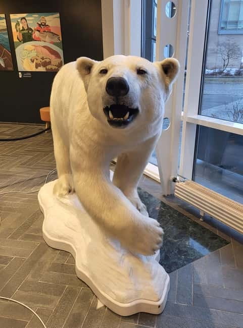 Tromsø: Guided Polar Bear Walk incl. Polaria & Polar Museum - Timing, language, and planning your day