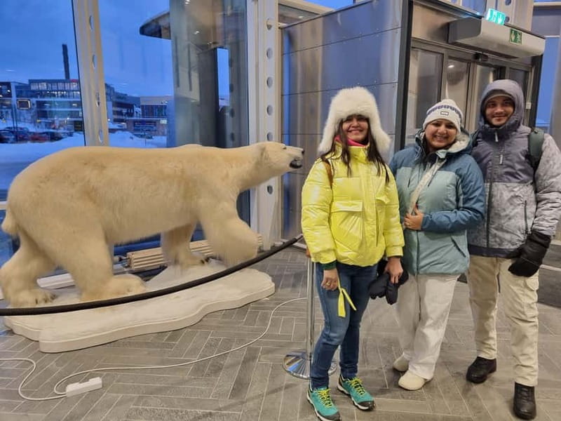 Tromsø: Guided Polar Bear Walk incl. Polaria & Polar Museum - Following Tromsø’s strange polar bear stories