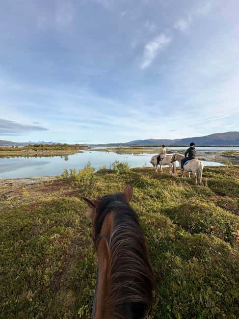 Tromsø: Horseback Riding Tour - Key points to know before you book