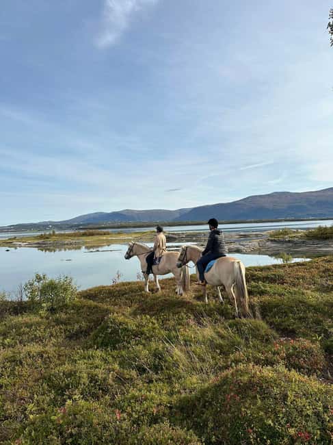 Tromsø: Horseback Riding Tour - Starting at Marisletta farm on Kvaløya