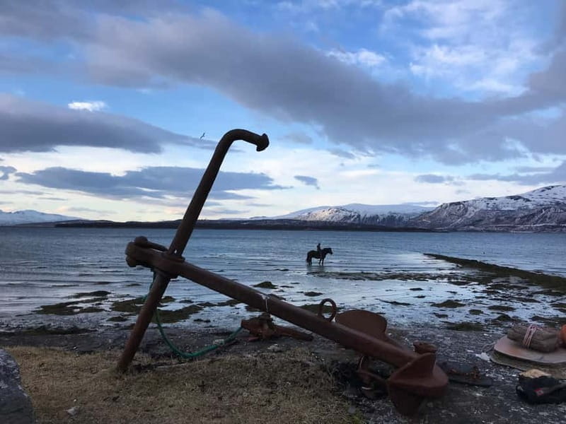 Tromsø: Horseback Riding Tour - Sixty to seventy-five minutes in the saddle