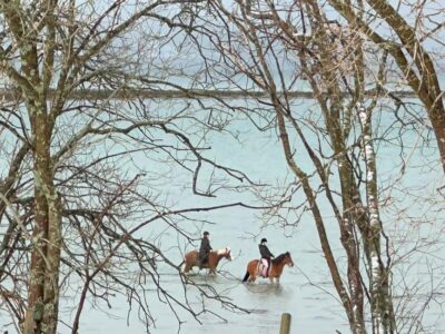 Horseback Riding Tour