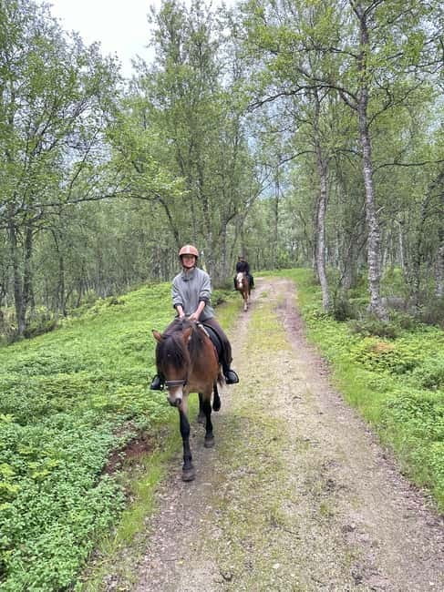 Tromsø: Horseback Riding Tour - Wildlife around the fjords and shore