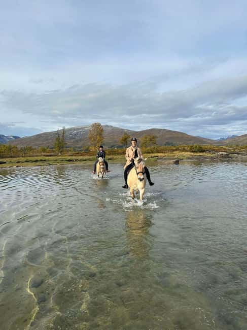 Tromsø: Horseback Riding Tour - Who will enjoy this farm ride most