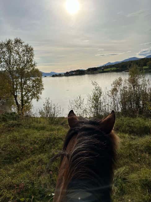 Tromsø: Horseback Riding Tour - Practical ways to make the most of it
