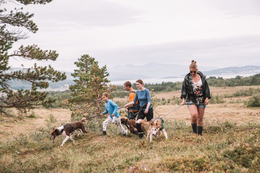 Tromsø: Husky Hike and Puppy Visit with Traditional Lunch - Why this Tromsø dog tour feels different