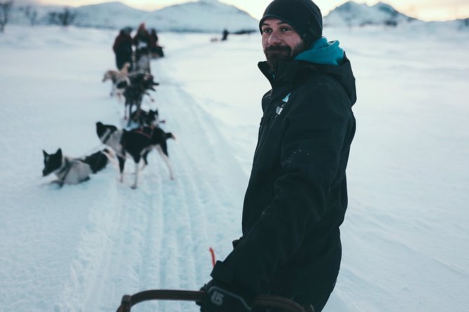 Tromso Husky Self-Drive Sledding with Cake and Drink in Lavvu - Cake and hot chocolate in the lavvu