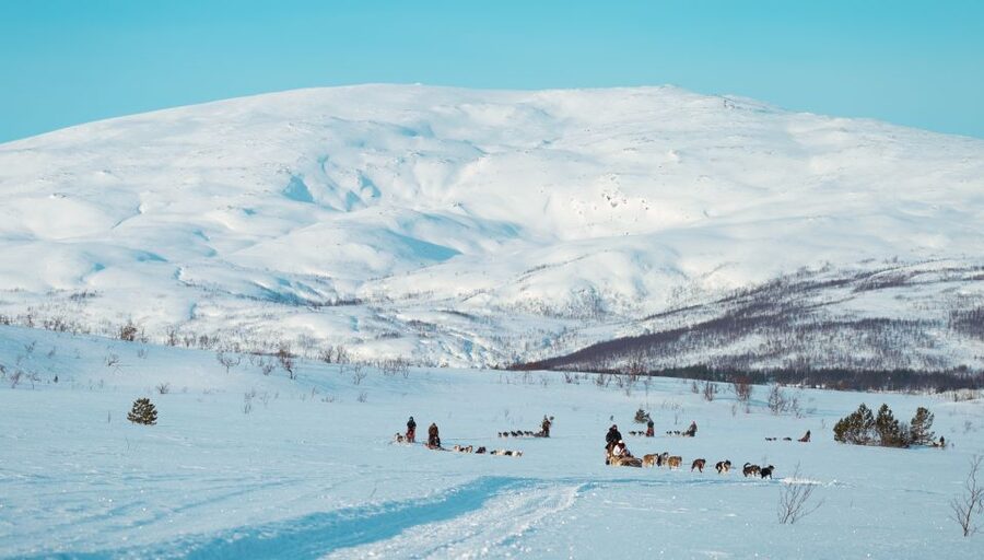 Tromsø: Husky Sled Self-Drive with Traditional Lunch - Key points at a glance