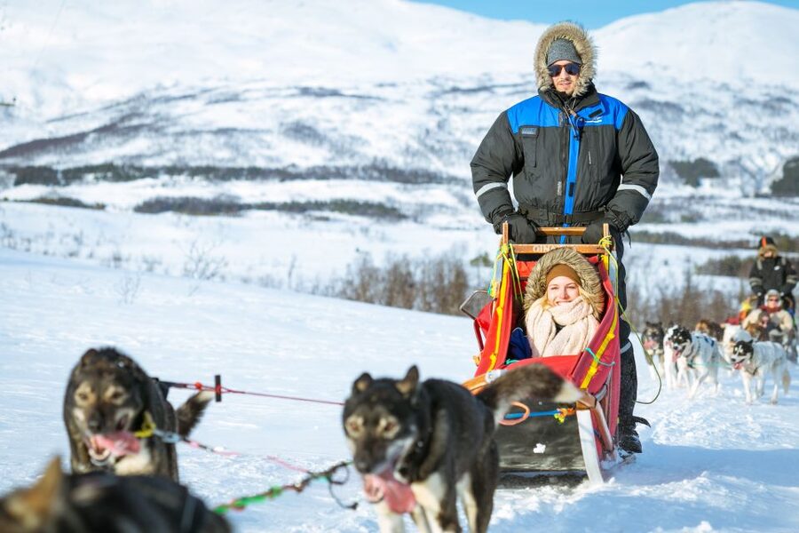 Tromsø: Husky Sled Self-Drive with Traditional Lunch - Who should book, and who should skip it?
