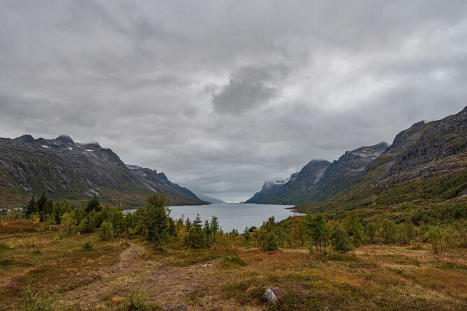 Tromsø: Kvaløya & Sommarøy Guided Fjord Tour with Lunch - Lunch at a coastal resort