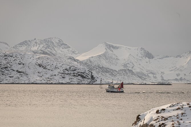 Tromsø: Kvaløya & Sommarøy Guided Fjord Tour with Lunch - How much value do you get for $181.50?