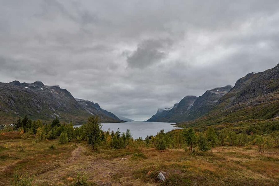 Tromsø: Kvaløya & Sommarøy Guided Tour - Is $165 a fair price?