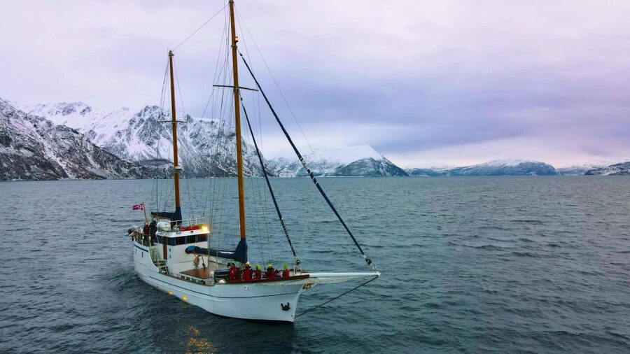 Tromsø: Luxury Polar Fjord Cruise w/ Hot Tub & Polar Plunge - Key Points Before You Book