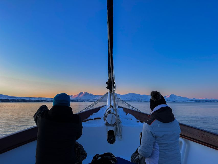 Tromsø: Luxury Polar Fjord Cruise w/ Hot Tub & Polar Plunge - Sailing Into Balsfjorden for Four and a Half Hours