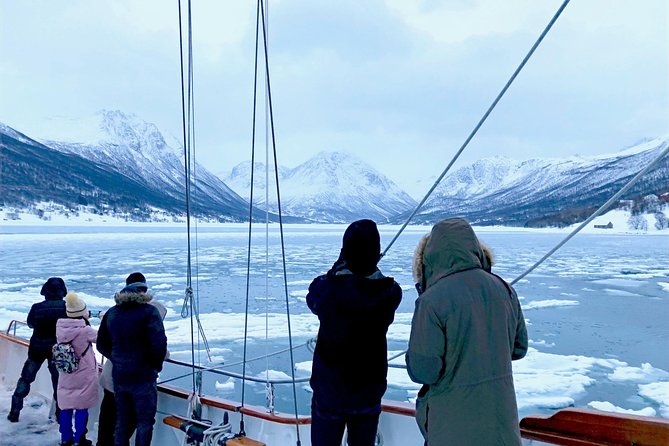 Tromso Luxury Sailing Yacht Polar Fjord Cruise with Lunch - Wildlife watching from the deck