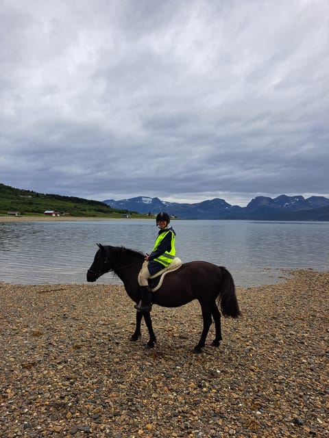 Tromsø: Lyngen Horse Summer Riding Experience - Key points at a glance