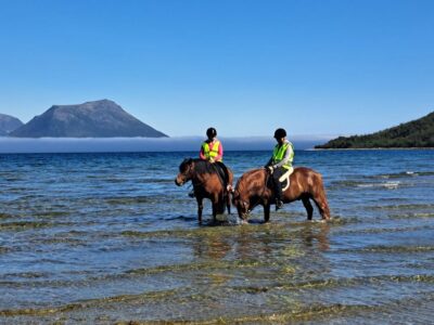 Lyngen Horse Summer Riding Experience