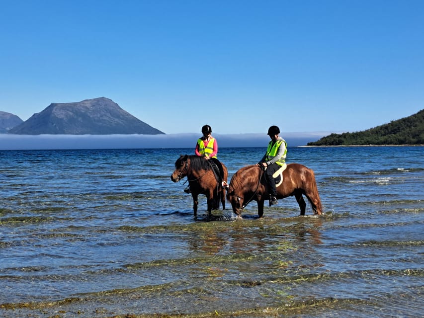 Tromsø: Lyngen Horse Summer Riding Experience - Arriving at Ullstindvegen 1279