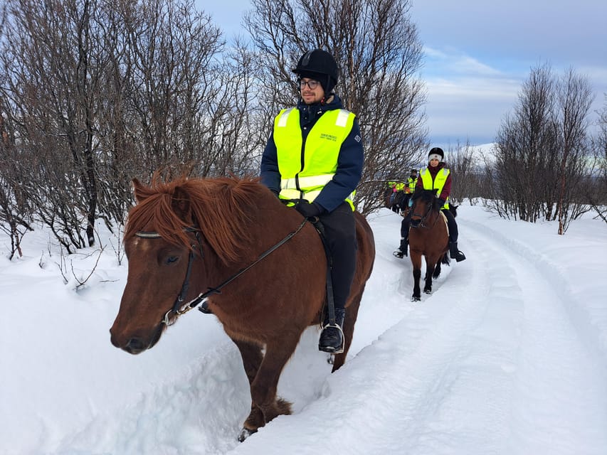 Tromsø: Lyngen Horse Winter Riding Experience - Key points to know before you book