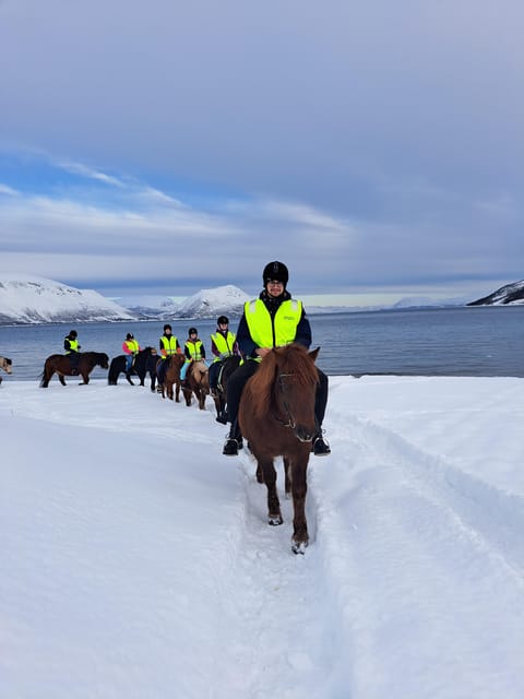 Tromsø: Lyngen Horse Winter Riding Experience - The beach section depends on conditions