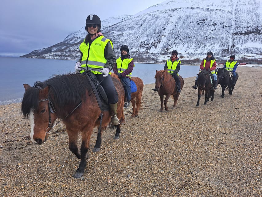 Tromsø: Lyngen Horse Winter Riding Experience - Practical clothing and transport advice