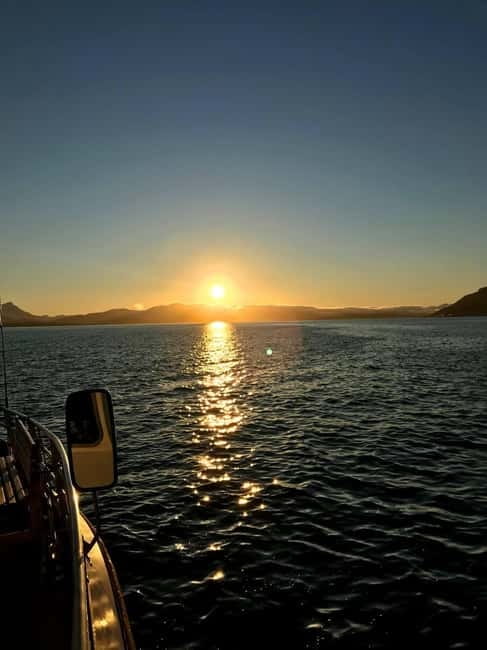 Tromsø: Midnight Sightseeing Cruise All-Inclusive - Key points to know before booking