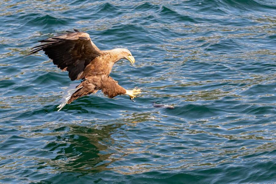 Tromsø: Midnight Sightseeing Cruise All-inclusive - Hella on Kvaløya: the main sightseeing stop