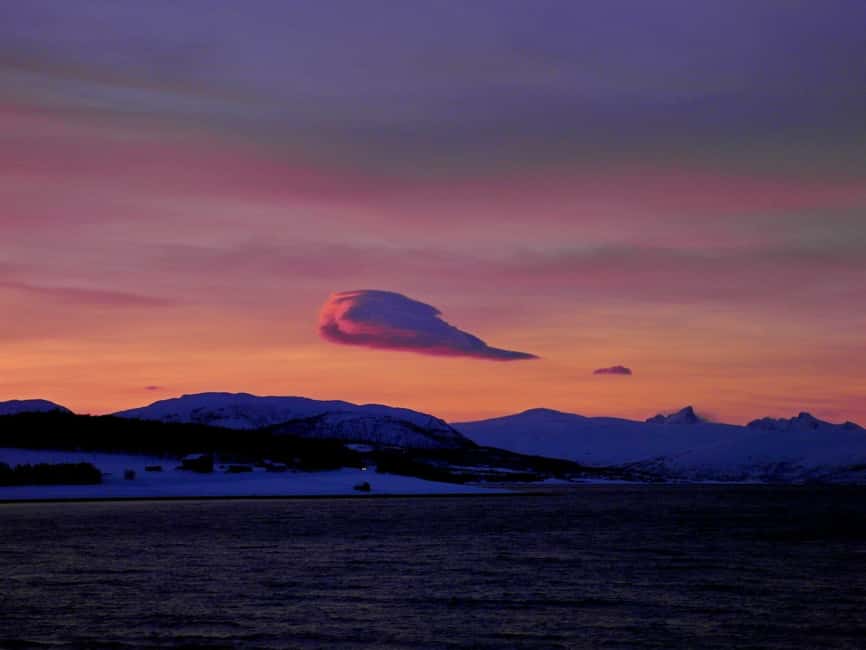 Tromsø: Midnight Sightseeing Cruise All-inclusive - Wildlife watching when the sun is less cooperative