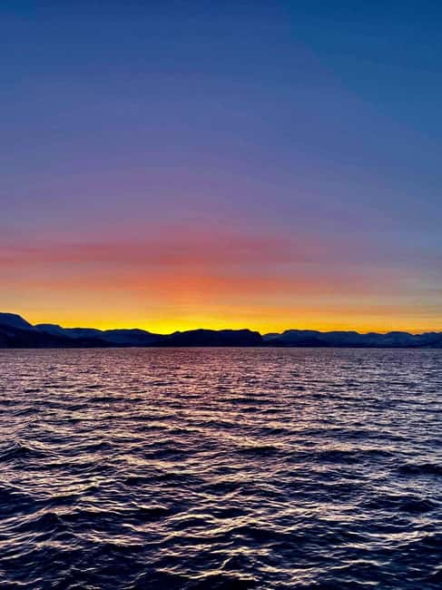 Tromsø: Midnight Sightseeing Cruise All-inclusive - Is $147 a fair price?