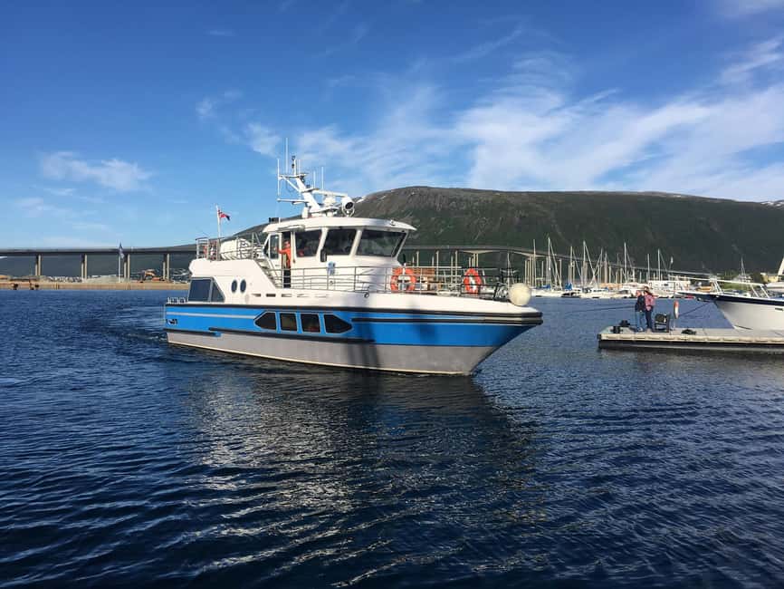 Tromsø: Midnight Sightseeing Cruise All-Inclusive - Why the Midnight Sun is the main attraction