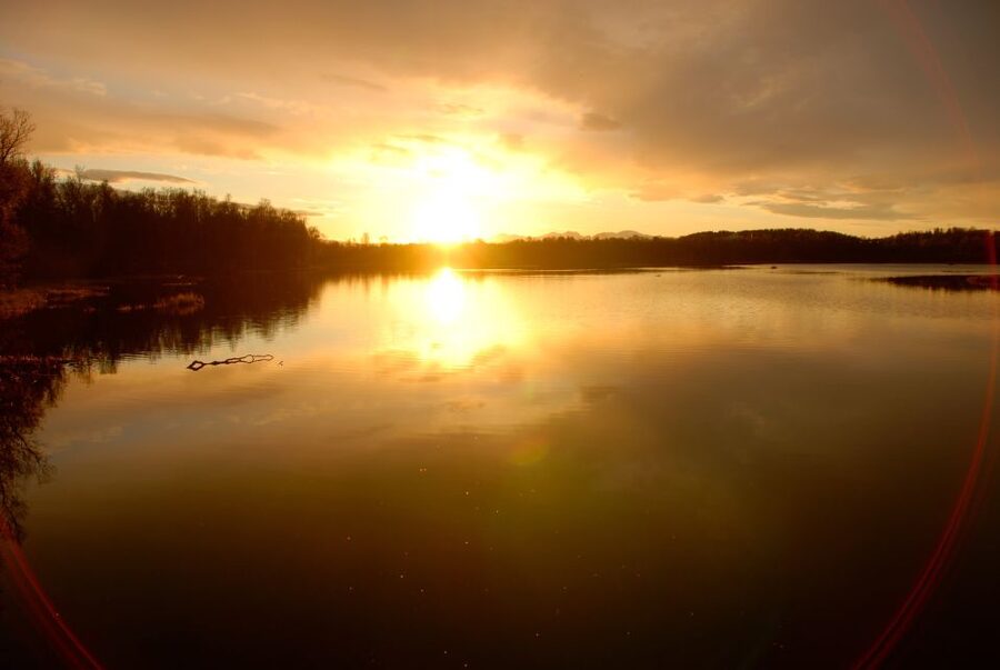 Tromsø: Midnight Sun Cruise in a Luxury Catamaran - Key points to know before booking