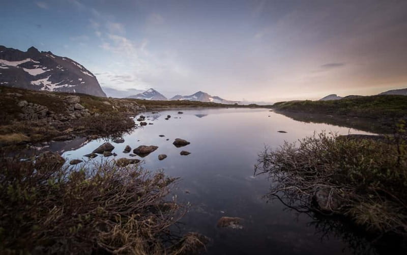 Tromsø: Midnight Sun Hike in the wilderness - A small mountain walk, not a serious climb