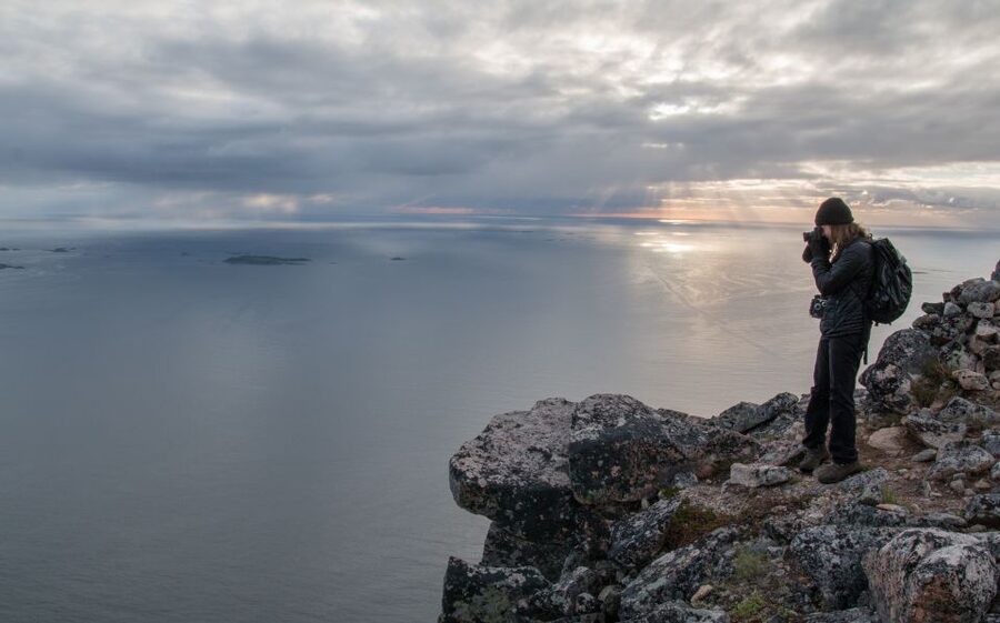 Tromsø: Midnight Sun Hike in the wilderness - Learning about Arctic plants and animals