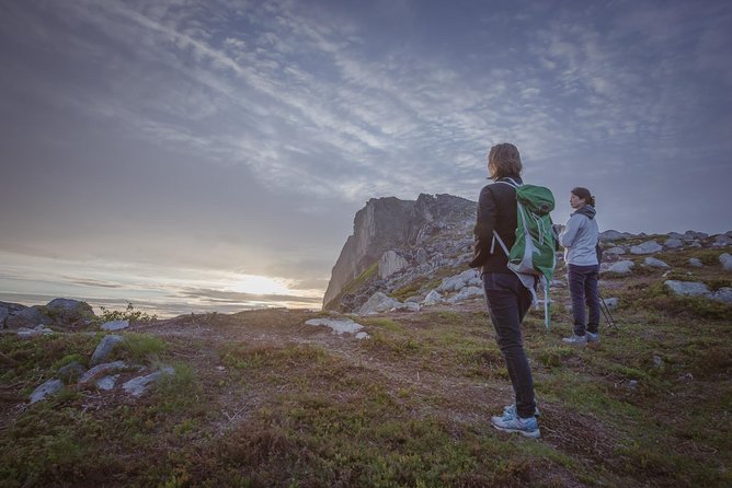 Tromsø: Midnight Sun Hike with Wandering Owl - Is $150.35 a fair price?