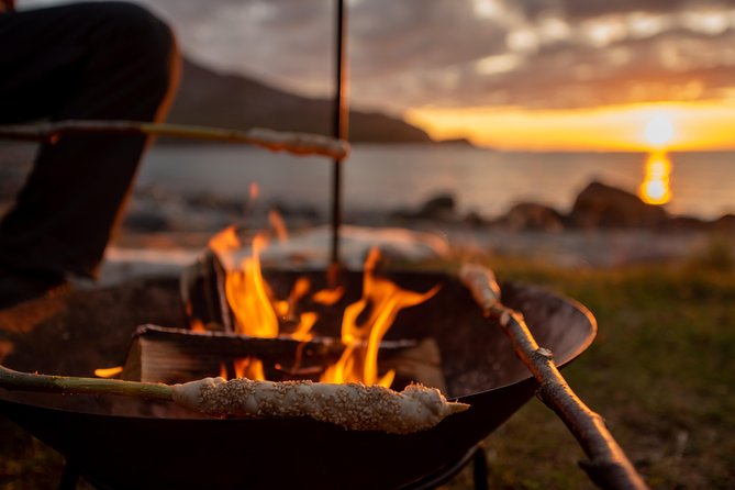 Tromsø: Midnight Sun with Campfire with Wandering Owl - Is $150.07 a fair price?