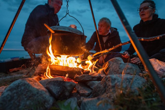 Tromsø: Midnight Sun with Campfire with Wandering Owl - Timing, weather, and cancellation concerns