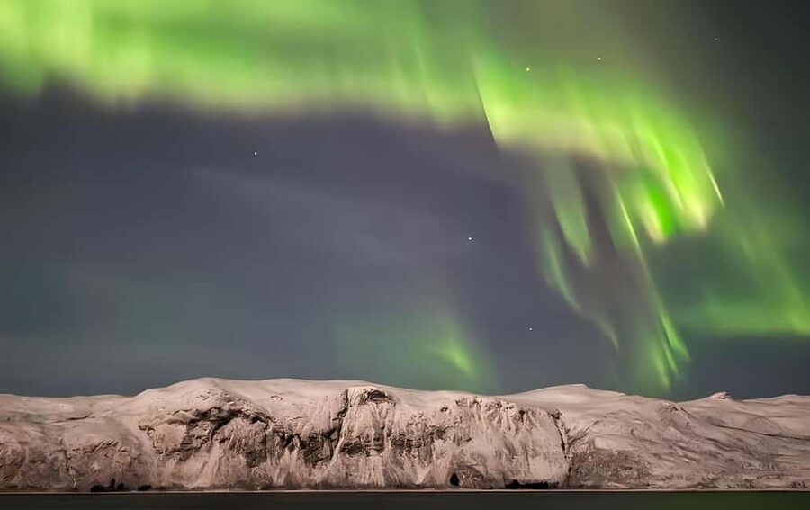 Tromsø: Northern Lights Adventure by Bus or Minibus - Why this Tromsø aurora tour is worth considering