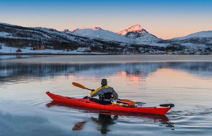 Tromsø, Northern Lights and Wilderness Evening Catamaran Cruise - Key points to know before you book