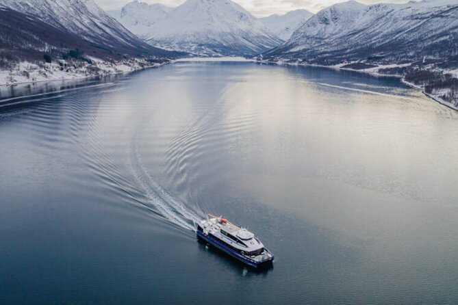 Tromsø, Northern Lights and Wilderness Evening Catamaran Cruise - The main weakness: staying close to Tromsø