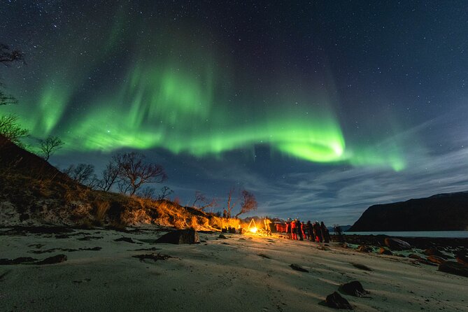 Tromsø: Northern Lights by Minibus - Free Photos and Warm Dinner - Key things to know before booking