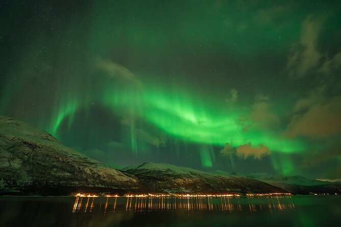 Tromsø: Northern Lights by Minibus - Free Photos and Warm Dinner - Campfire dinner in the snow