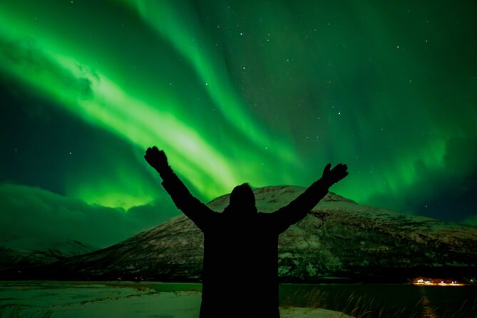 Tromsø: Northern Lights by Minibus - Free Photos and Warm Dinner - A comfortable minibus for a long Arctic night